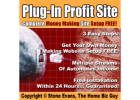 Faceless Online Business for Beginners - Work From Anywhere!