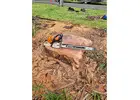 Stump Grinding Northern Beaches | Sam's Tree Services North Shore