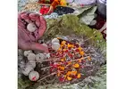 Pinda Pradanam