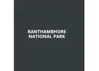 Explore Ranthambore Wildlife Tour Packages Now