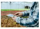 Inventory Management System for Commercial Plant Growers, Greenhouses & Nursery