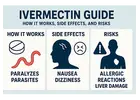 Ivermectin Guide: How It Works, Side Effects, and Risks