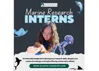 Marine Research Interns