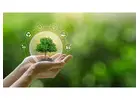 Inventory Management For Growers