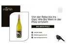 Von der Rebe bis ins Glas: Wie Bio Wein in der Pfalz entsteht
