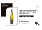 Pfalz pur: Warum Bio Wein die Zukunft des Weinbaus ist