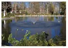 Pond Maintenance & Pond Supplies