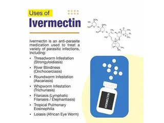Buy Trusted Ivermectin Tablet Online Store Buy Trusted Ivermectin Tablet Online Store