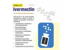 Buy Trusted Ivermectin Tablet Online Store