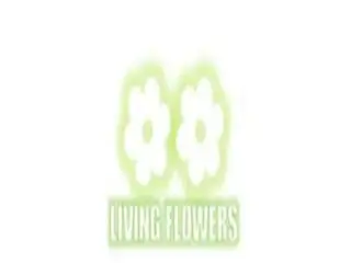 Flower Delivery Greensborough Flower Delivery Greensborough