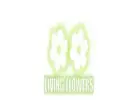 Flower Delivery Greensborough