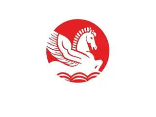 BOPP Bags Delivering Excellence In Modern Packaging Solutions BOPP Bags Delivering Excellence In Modern Packaging Solutions