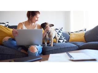 Earn Big, Work Little: $900 Daily in Just 2 Hours Earn Big, Work Little: $900 Daily in Just 2 Hours