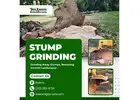 Stump Grinding in Boerne