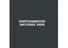 Easy Ranthambore Online Safari Booking Guide for Tigers & Wildlife – Ranthambhore National Park