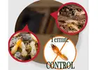 Termite Inspections | Bug Free Pest Control