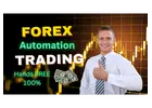From Side Hustle to Main Income: Forex on Autopilot