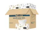 Find Eco-Friendly Napkins from Facial Tissue Wholesaler