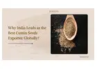 Indian Cumin Seeds Exporters | Expertsofdeals.com Reliable Trade