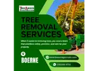 Tree Removal Services In Boerne