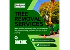 Tree Removal Services In Boerne