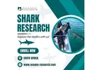 Shark Research South Africa