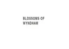 flower delivery Yarraville -  Blossom of Wyndham