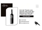 Von der Traube zum Genuss: Wie unser Bio-Weingut einzigartigen Pfälzer Wein kreiert