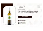 Top 5 Rebsorten für Bio Weine und was sie besonders macht