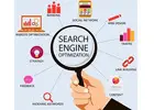 search engine optimization chicago il