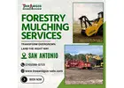 Forestry Mulching Services In San Antonio
