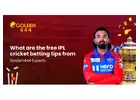 Free IPL Cricket Betting Tips From Golden444 Experts