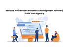 Reliable White Label WordPress Development Partner | Scale Your Agency