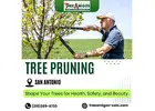 Tree Pruning in San Antonio