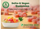 Buy Delta-8 Vegan Gummies Online in Sunrise, FL - Elite Hemp Products
