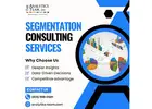 Segmentation Consulting Services