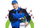 Pest Control Lidcombe | Bug Free Pest Control
