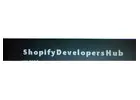 shopify development agency in delhi | shopify development company in delhi