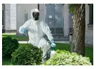Industrial Pest Control in Jaipur with Guaranteed Long-Term Results