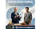 Negative Energy Removal in San Jose By Master Veerananda