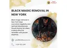 Best Black Magic Removal in New York By Pandit Krishna Sai