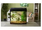 Your Trusted Aquarium Store in Australia for Quality Aquariums