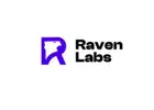 Best Social Media Marketing Agency - Raven Labs