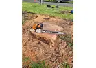 Stump Grinding North Shore | Sam's Tree Services North Shore