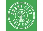 Arbor City Tree Care