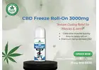 Fast Relief with CBD Freeze Roll-On 3000mg
