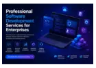 Professional Software Development Services for Enterprises