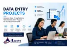 Companies outsourcing data entry Projects