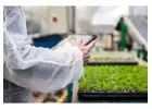 SBI Software: Find Best Nursery Business Software & Greenhouse ERP Here