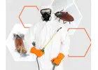 Best Home Pest Control in Jaipur Premium Safe Pest Solutions